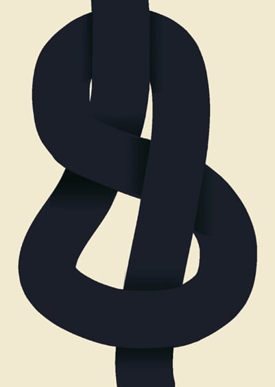 The Knot