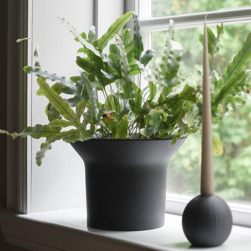 Ängholmen Pot