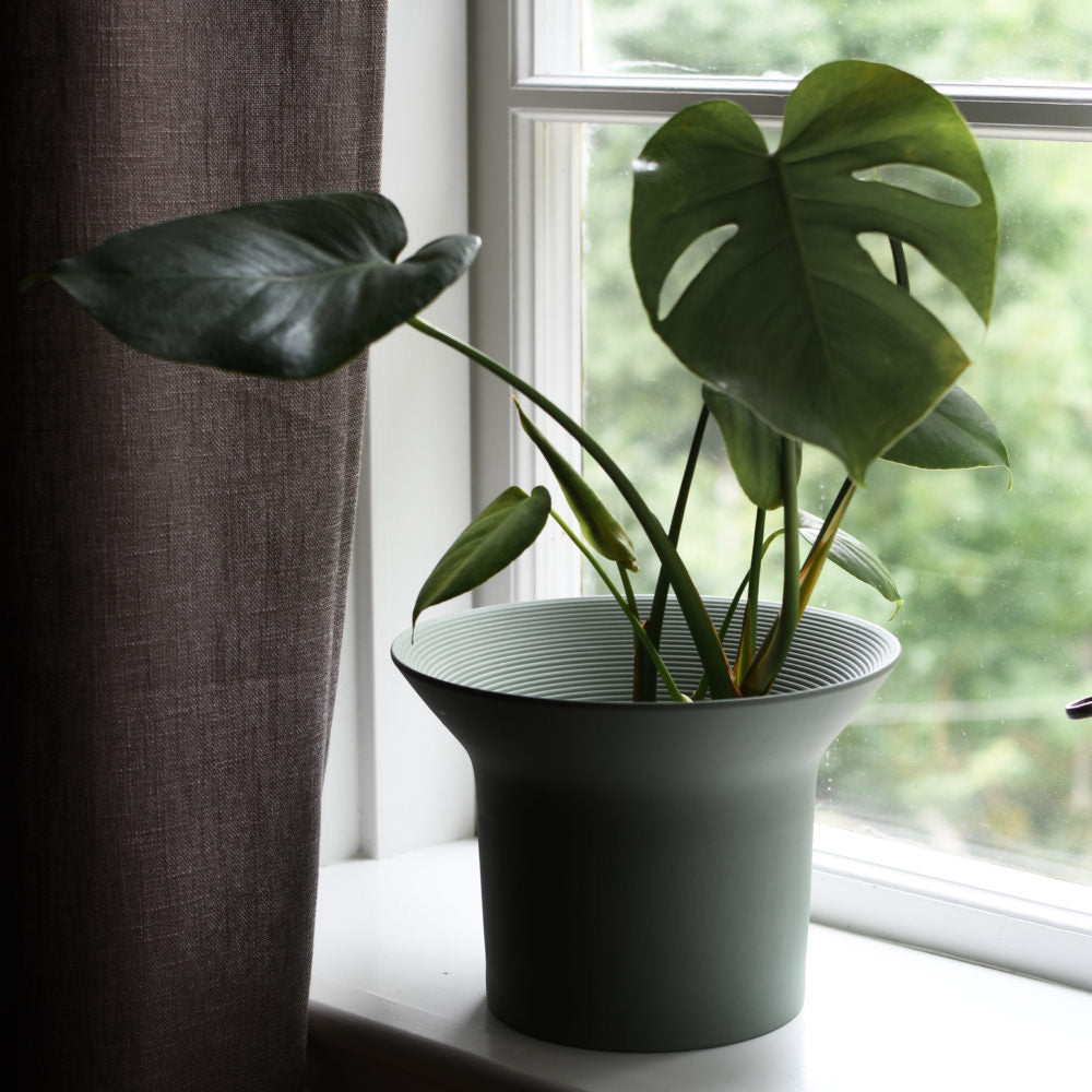 Ängholmen Pot
