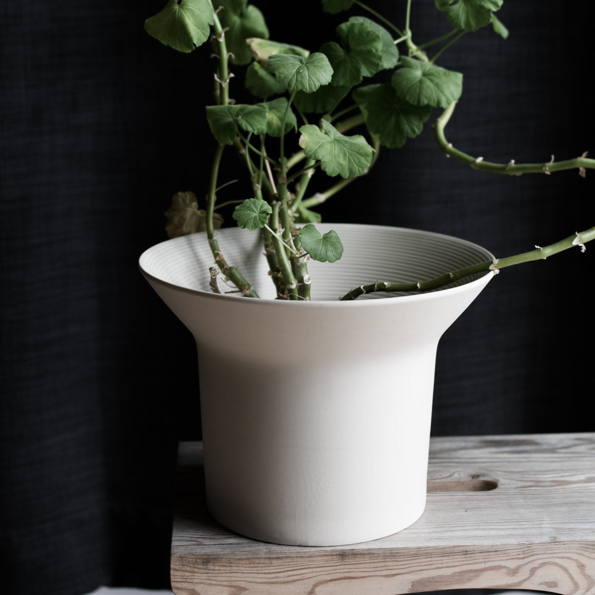 Ängholmen Pot