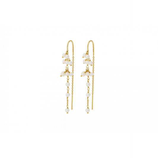 Ocean Treasure Earchains