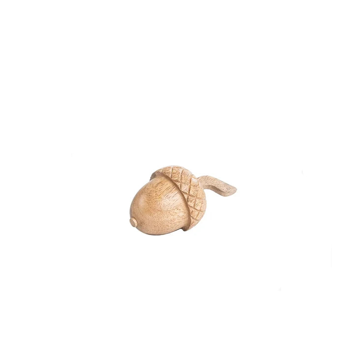 Sögne Deko-Nuss Akazie (Medium)