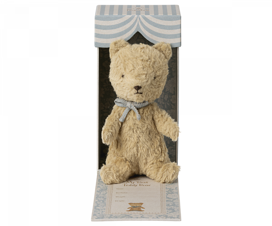 Mein erster Teddy , Sand