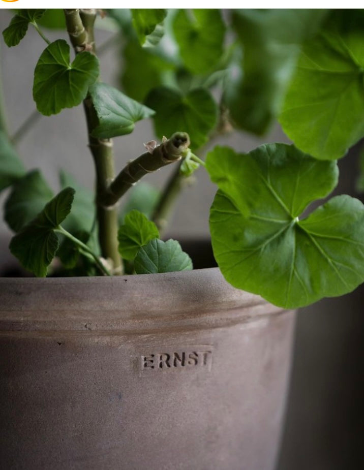 Kruka Terrakotta Topf 21x18cm