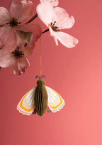 Honeycomb Schmetterlinge H8cm Mix 3er-Set