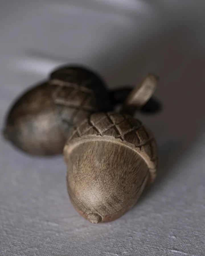 Sögne Deko-Nuss Akazie (Medium)