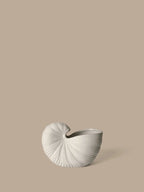 Shell Pot 23 Off white