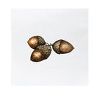 Sögne Papierservietten „Christmas Nuts“ (Lunch)