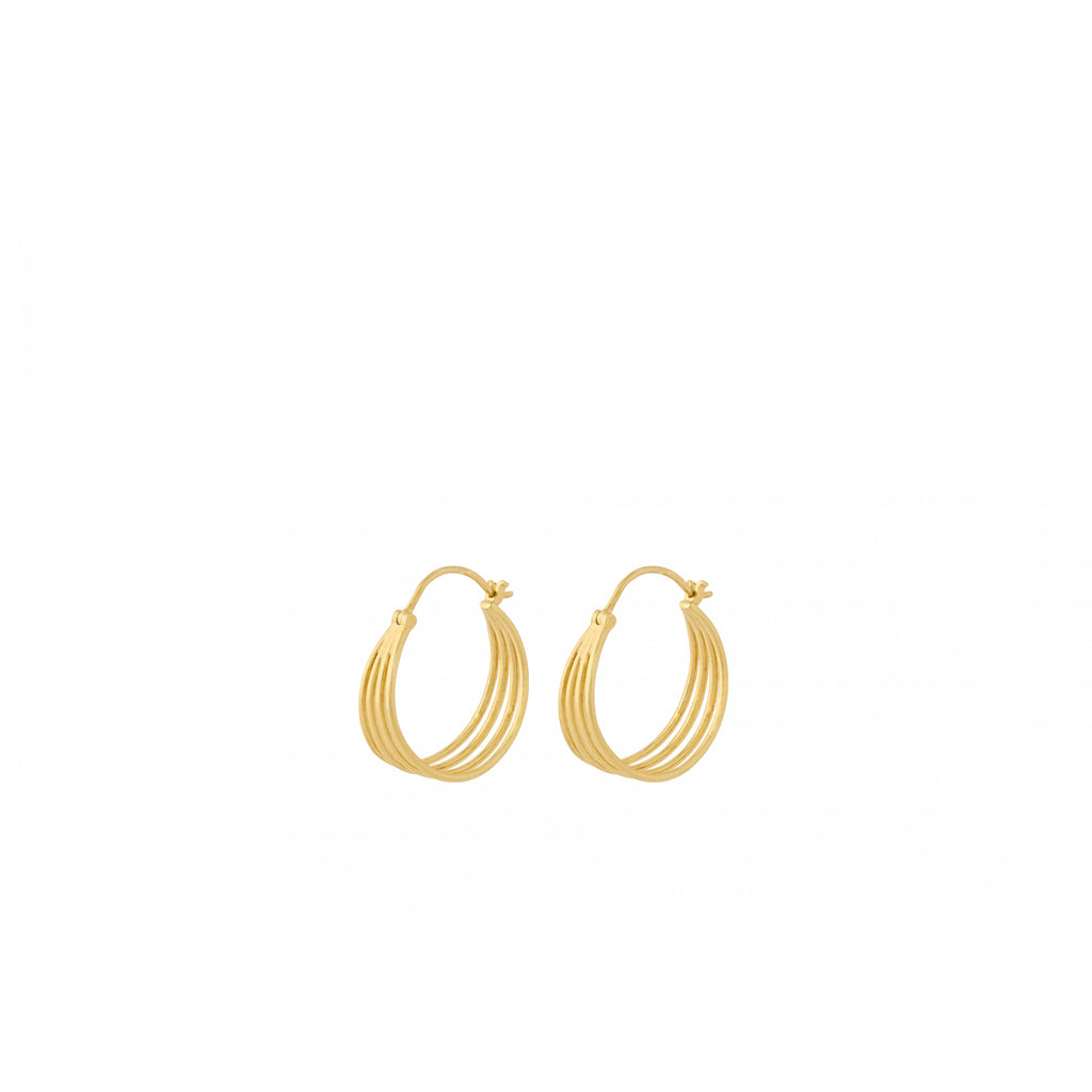 Midnight Sun Earrings