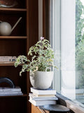 Speckle Pot small Off White