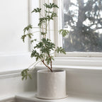 Viksberg Large White Pot