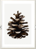Zapfen 50x70