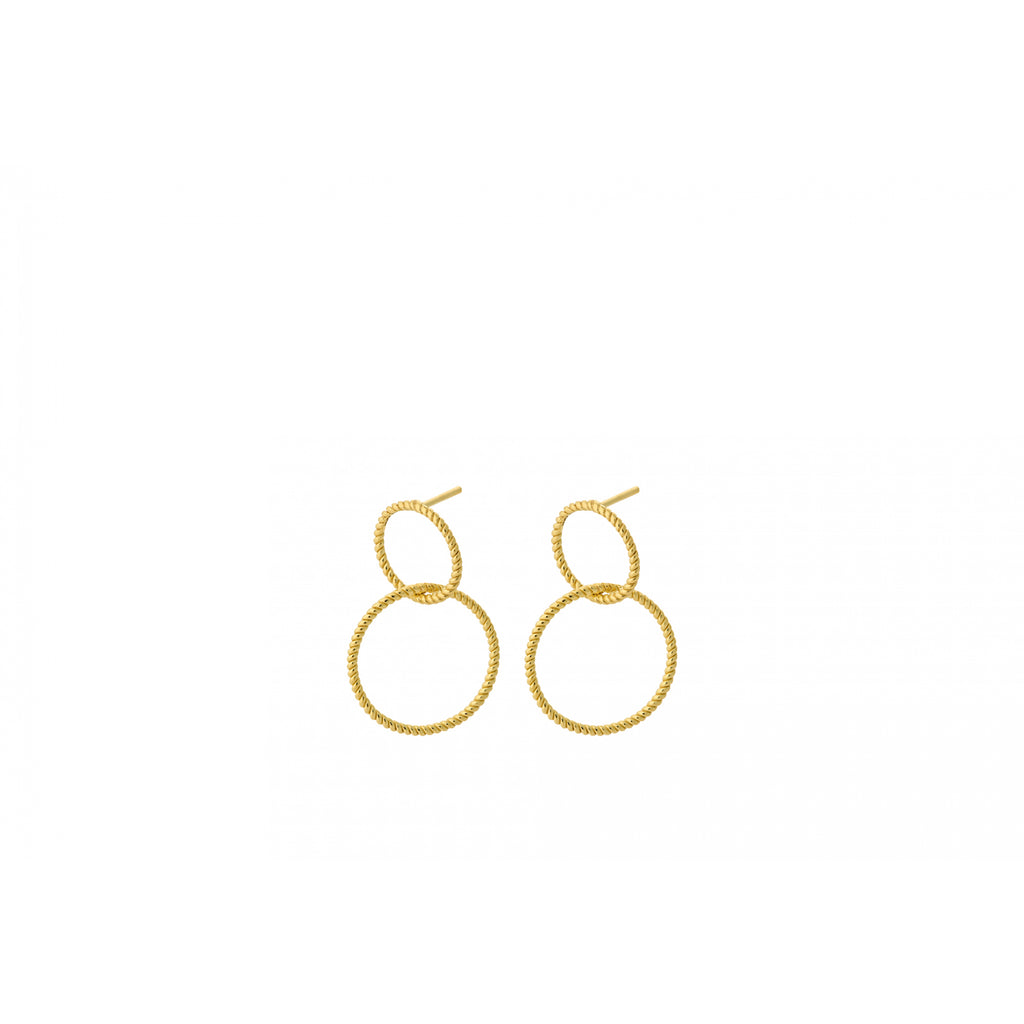 Double Twisted Earrings