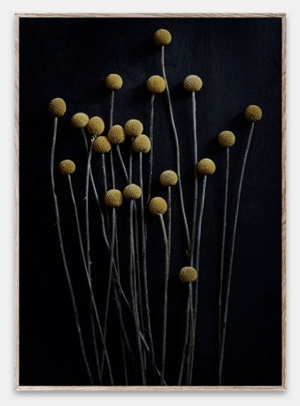 Still Life 01 Poster 50x70 cm yellow Drumsticks