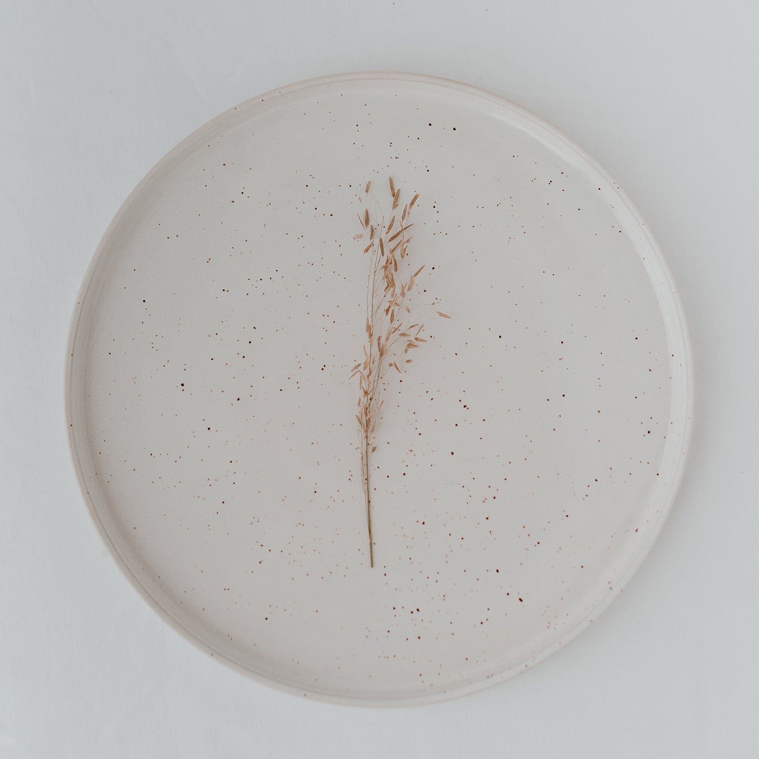 Großer Teller Calmar