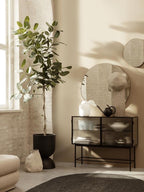 Pond Mirror XL