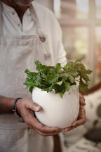 Umtopf glasiert weiß