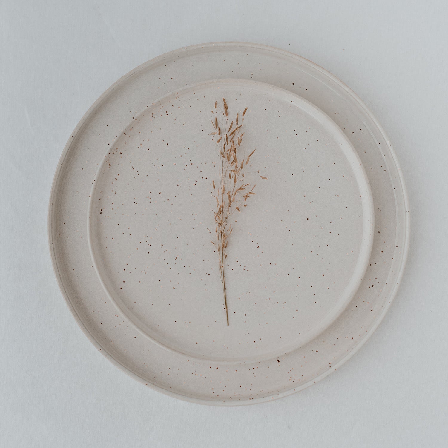 Großer Teller Calmar