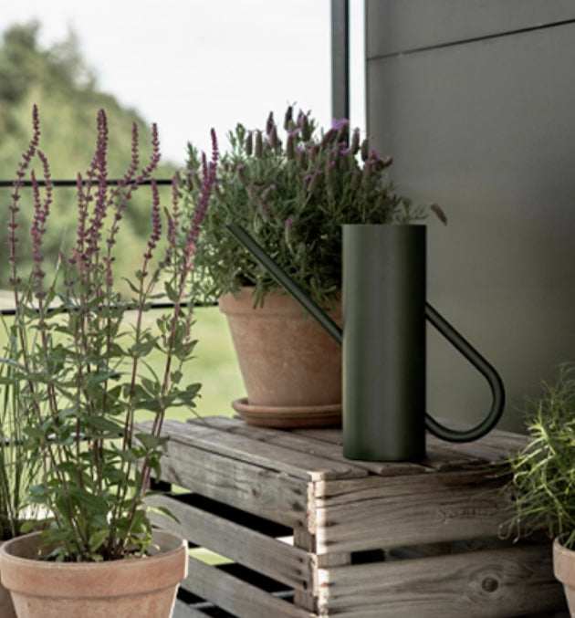 Bloom Blumengießkanne Pune