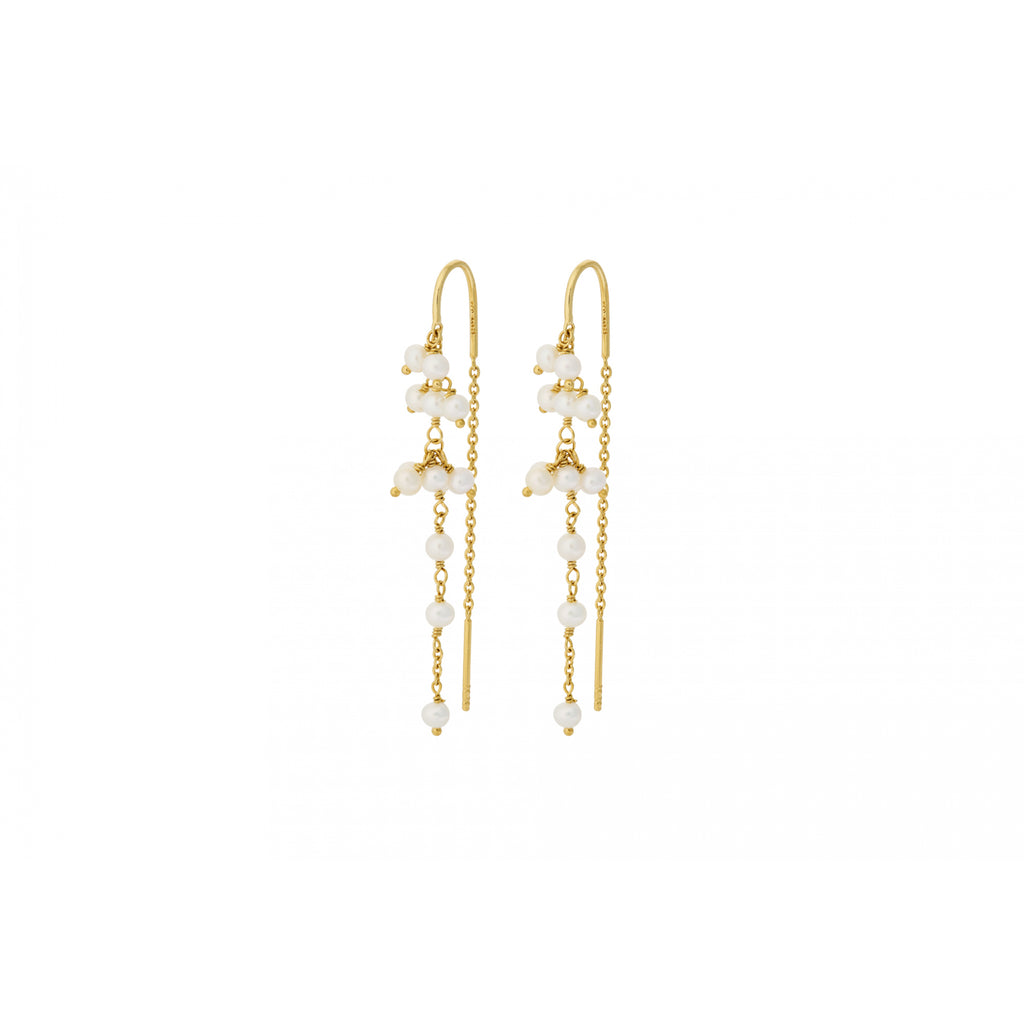 Ocean Treasure Earchains